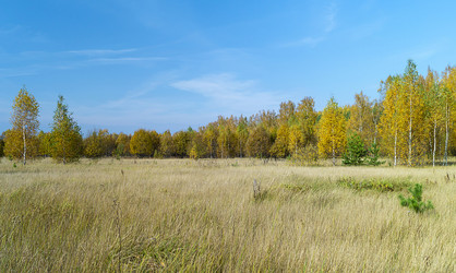 Similar image 21208971