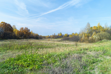 Similar image 21208974