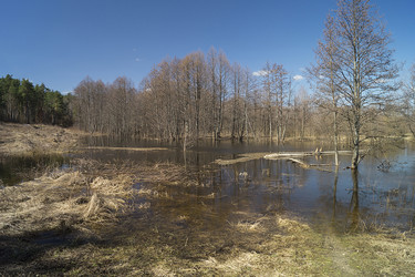 Similar image 21208975