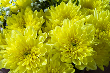 Similar image 21208979