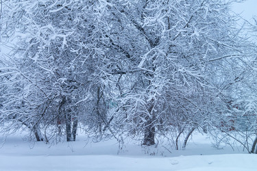 Similar image 21209013