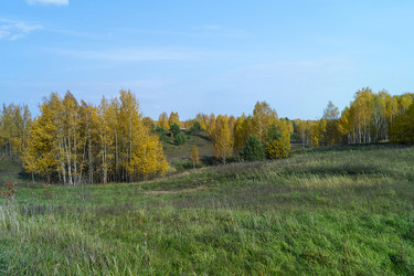 Similar image 21209016