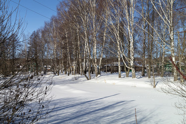 Similar image 21209062