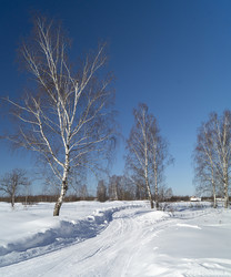 Similar image 21209064