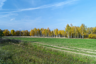 Similar image 21218670