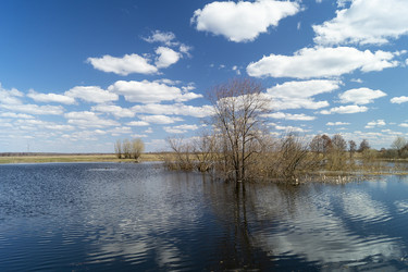 Similar image 21218673