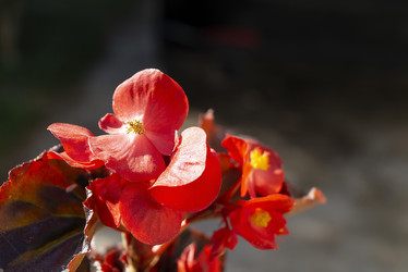 Similar image 21218786