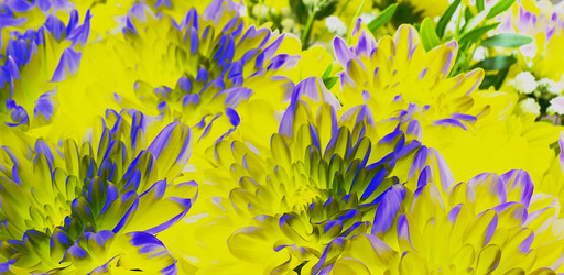 Similar image 21218787