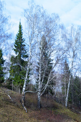 Similar image 21218789