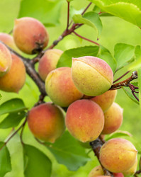 Similar image 21218790