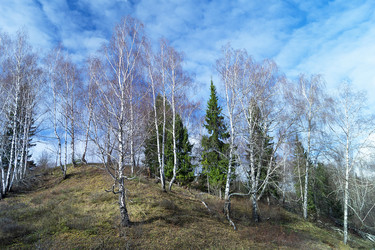 Similar image 21218793