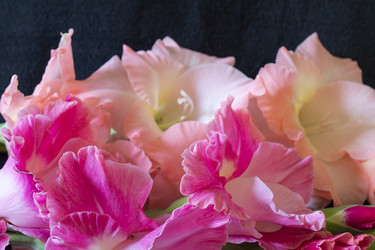 Similar image 21218796