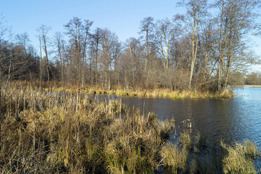 Similar image 21218797