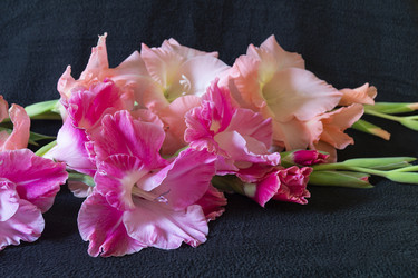 Similar image 21218798