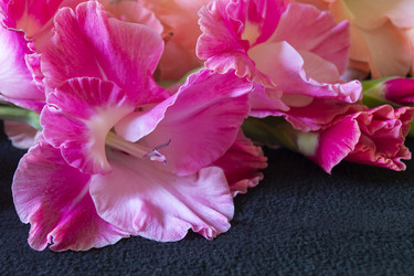 Similar image 21218800