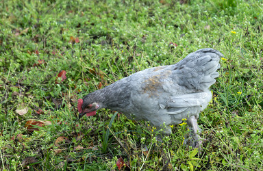 Similar image 21218802