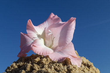 Similar image 21218805