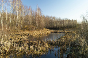 Similar image 21218806