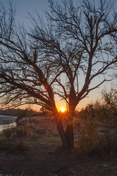 Similar image 21205466