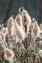 Similar image 21207140