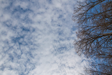 Similar image 21207141