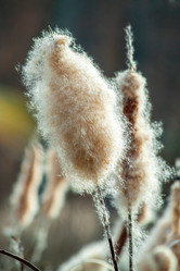 Similar image 21207144