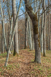 Similar image 21207145