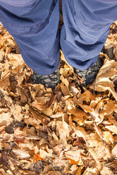 Similar image 21207150