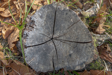 Similar image 21207151