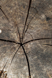 Similar image 21238116