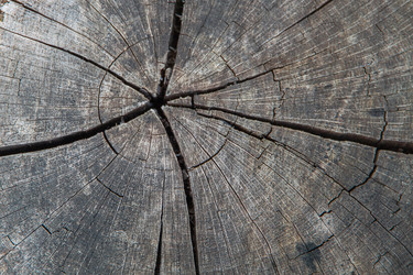 Similar image 21207155