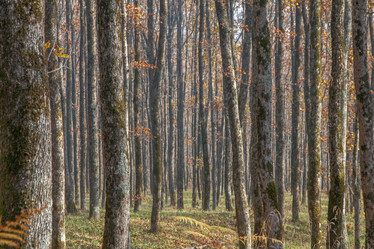 Similar image 21207163