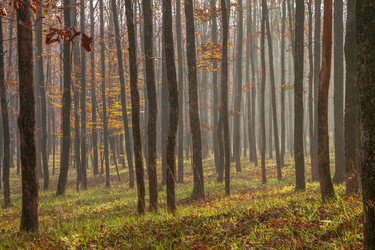 Similar image 21205467