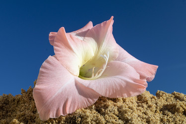 Similar image 21219063