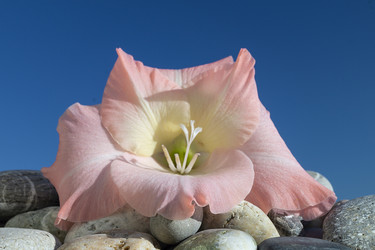 Similar image 21219065