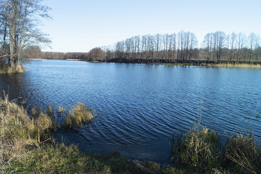 Similar image 21219066