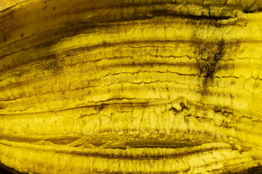 Similar image 21219070