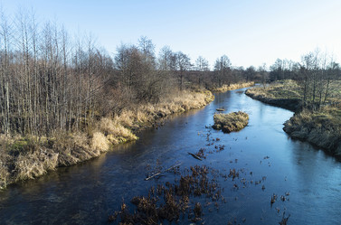 Similar image 21219151