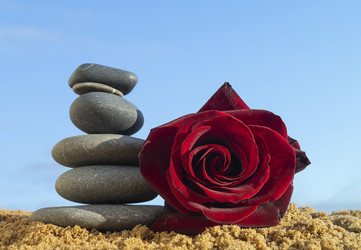 Similar image 21219154