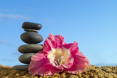 Similar image 21219156