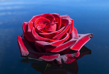 Similar image 21219162