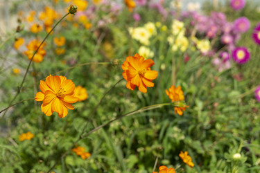 Similar image 21219169