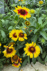 Similar image 21219173