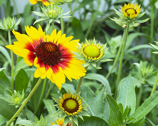 Similar image 21219174