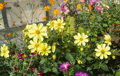 Similar image 21219177