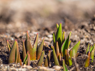 Similar image 21205481