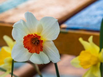 Similar image 21205482