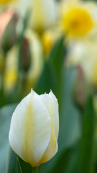 Similar image 21205483