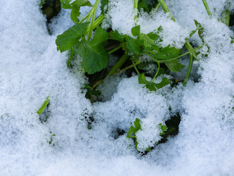 Similar image 21205507