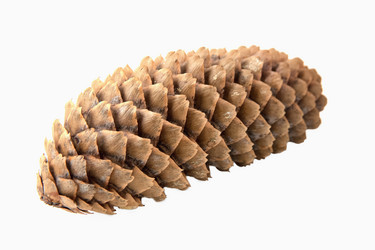 Similar image 21207184